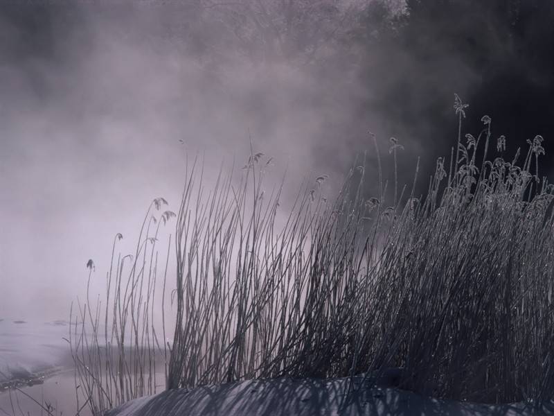 初晨云雾缭绕自然风景