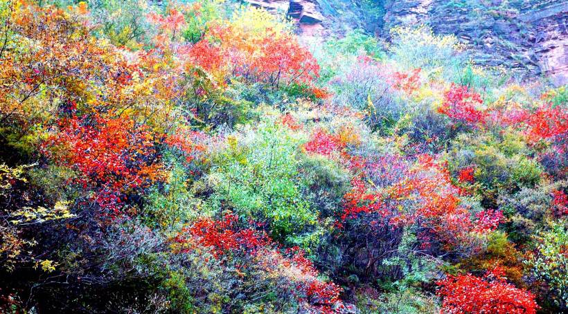 桂林云台山风景壁纸大全