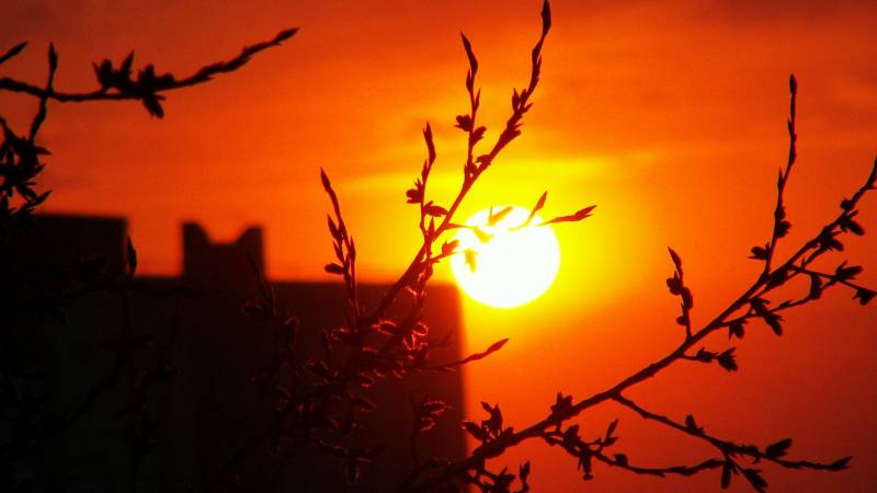 黄金海岸日出日落唯美风景图片