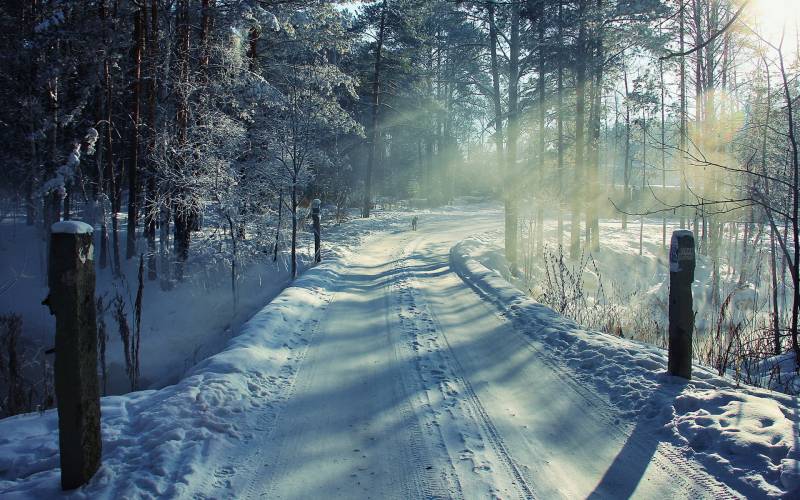 唯美雪路精美壁纸赏析