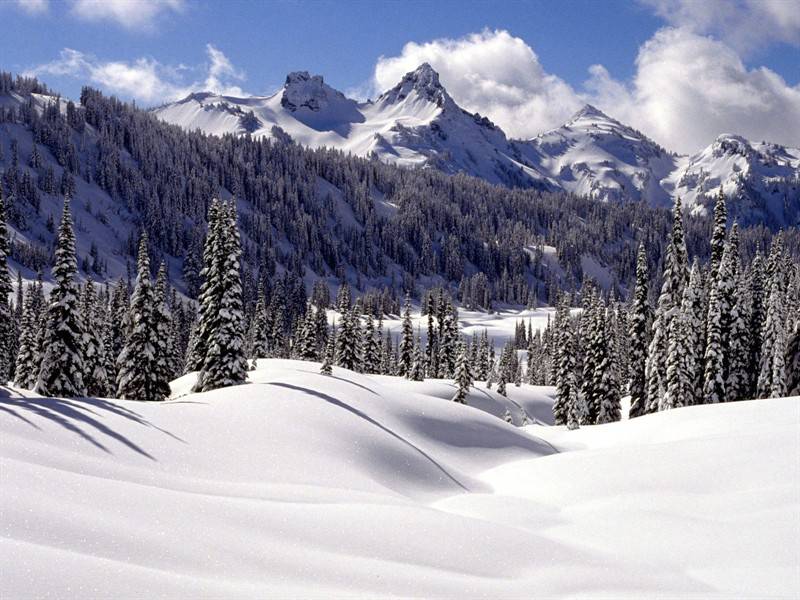 山中雪景宛如白色海洋宁静迷人