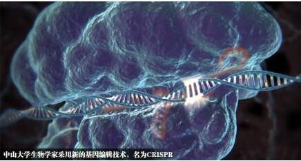 修改人类胚胎基因成功引争议 制作转基因婴儿遭道德质疑