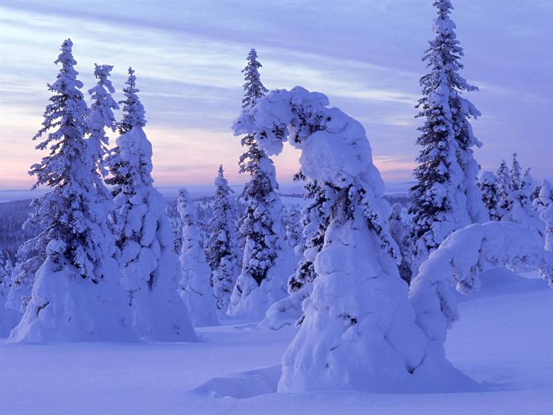 冬季高山雪景白色唯美景观