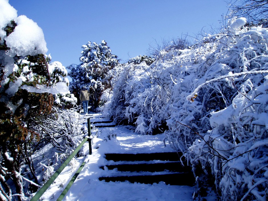 唯美迷人的峨眉山万佛顶雪景高清图片