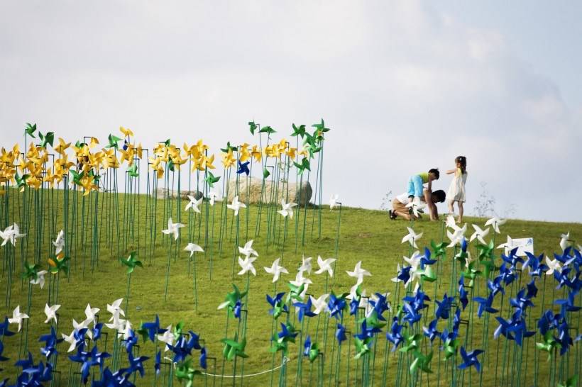 高清风车丛玩耍图片