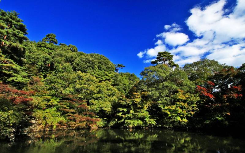 日本神户六甲山初秋迷人自然风景