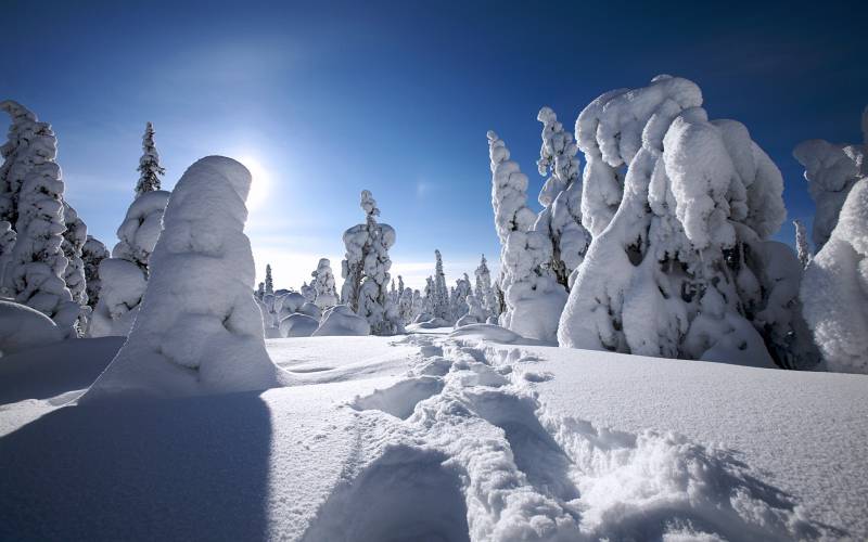 粉妆玉砌雪景高清壁纸