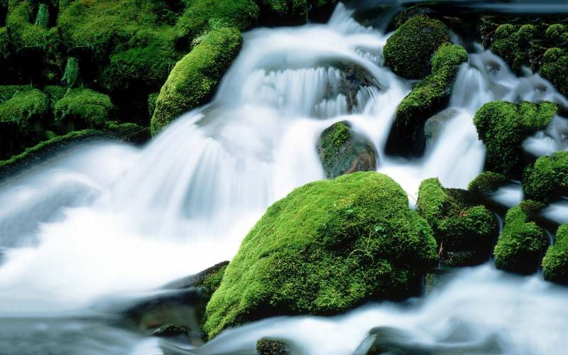 青山绿水大自然森林唯美风景壁纸