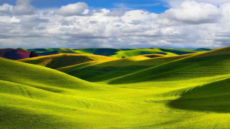 一望无际大草原清新翠绿自然风景壁纸