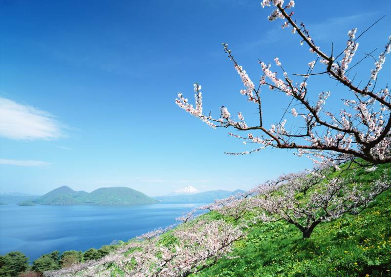 捕捉北海道美丽梦幻风景高清图片