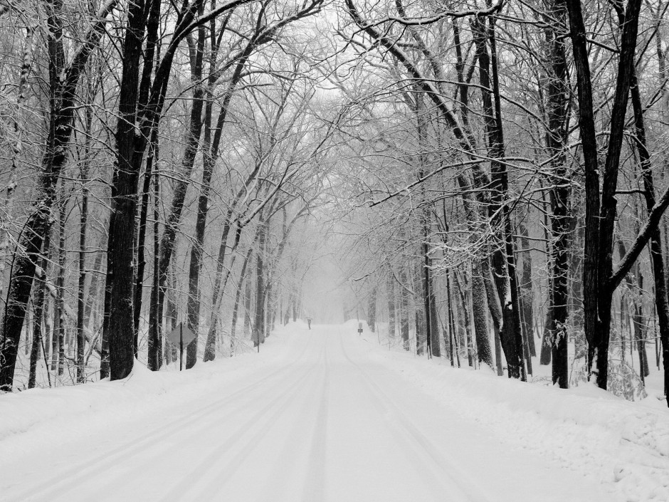 乡村林间冰雪覆盖的道路唯美图片