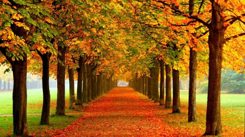 秋天风景图片壁纸唯美清新