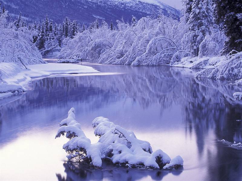 雪山林间白雪皑皑宁静唯美风景