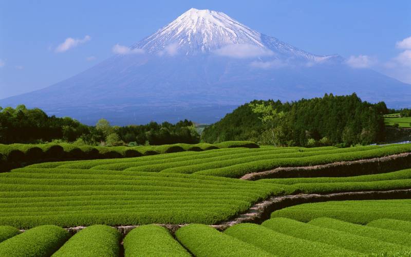 日本富士山下的唯美风景高清壁纸