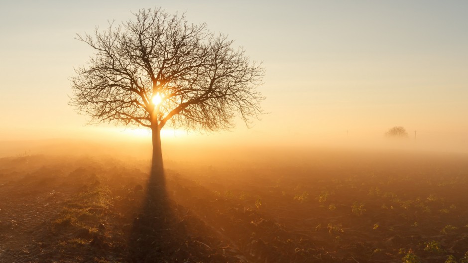 大自然唯美日出风景图片