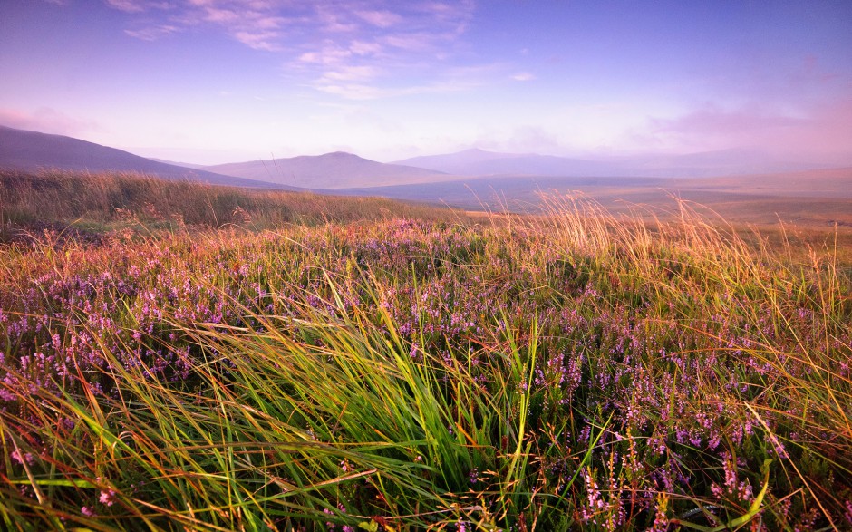 草原上的美丽大自然风景图片壁纸