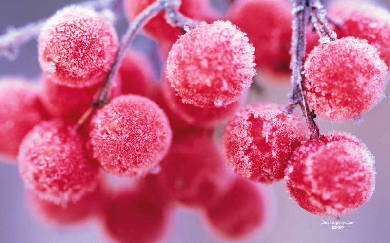 冬天冰山雪花世界风景壁纸