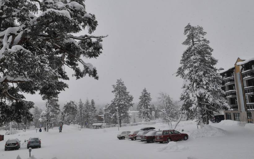 芬兰洁白唯美雪景高清风景图片