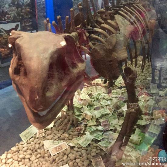 北京博物馆恐龙展柜成功德箱