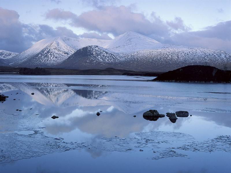 生机勃勃的自然风光美景