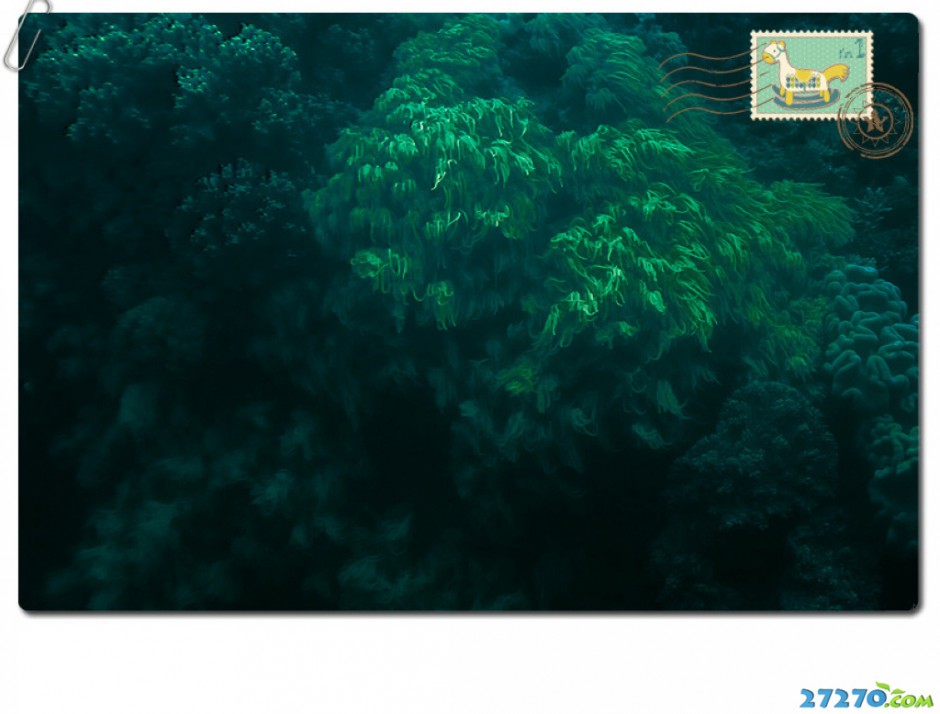 寻找海的印象 美丽壮观的大堡礁