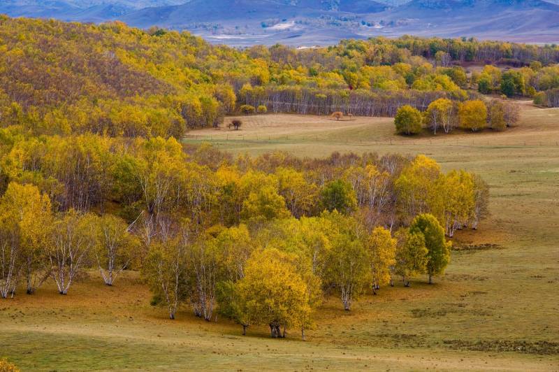 秋天黄绿色的大自然美景高清图片
