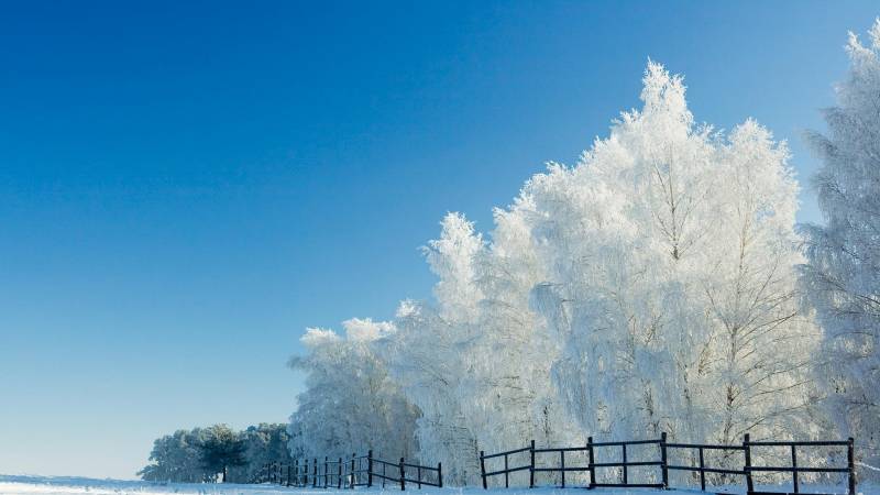 绝美纯白的雪景风光壁纸欣赏