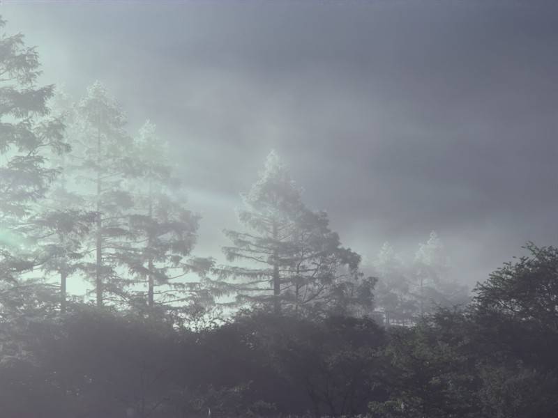 初晨山水间云雾环绕美景