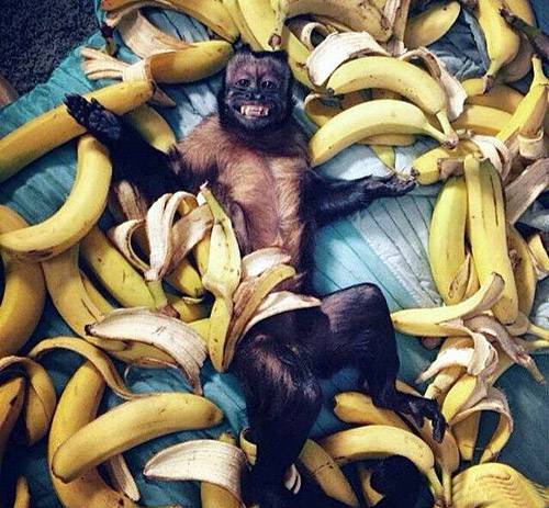 创意无止境,更无下限 创意图片集