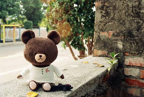 让人爱不释手的可爱玩偶图片