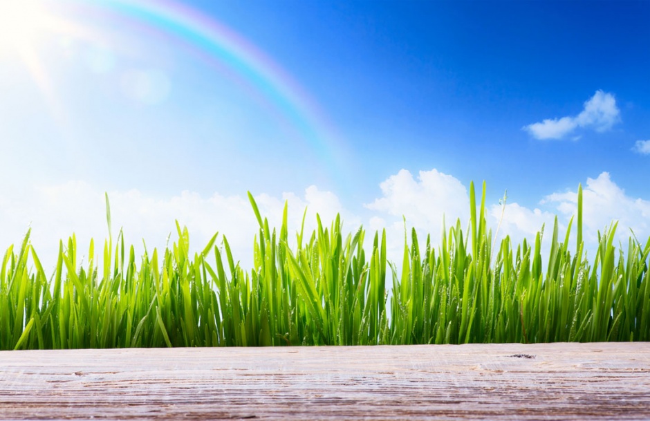 大自然春季主题高清风景图片