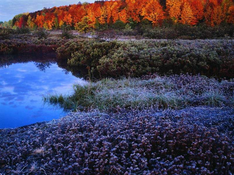 湖光山色高清河流树林风景壁纸