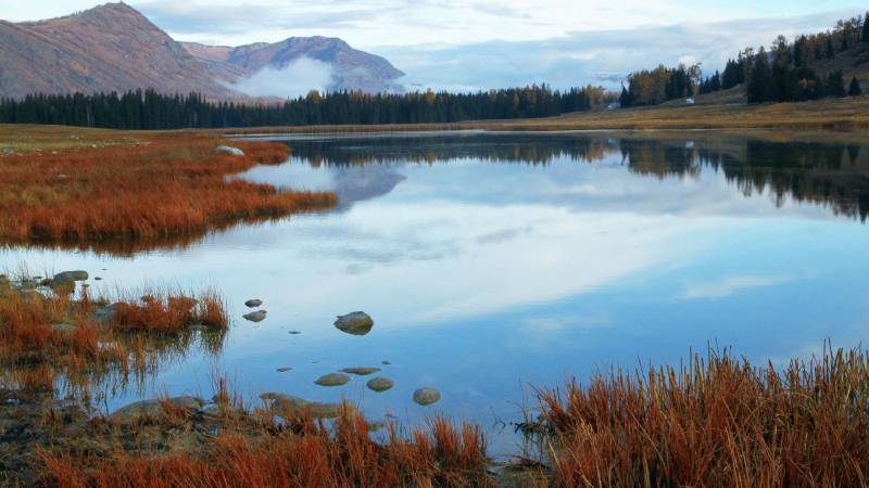 唯美喀纳斯四季美丽醉人风景组图