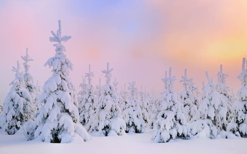 绝美冬天雪景精美桌面壁纸