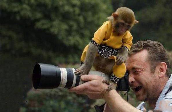 动物爆笑趣图之人类是怎样拍照的