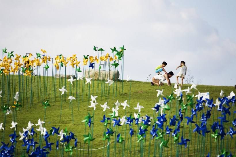 高清风车丛玩耍图片