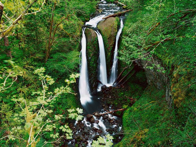 绿树环绕山间瀑布溪流风景图片