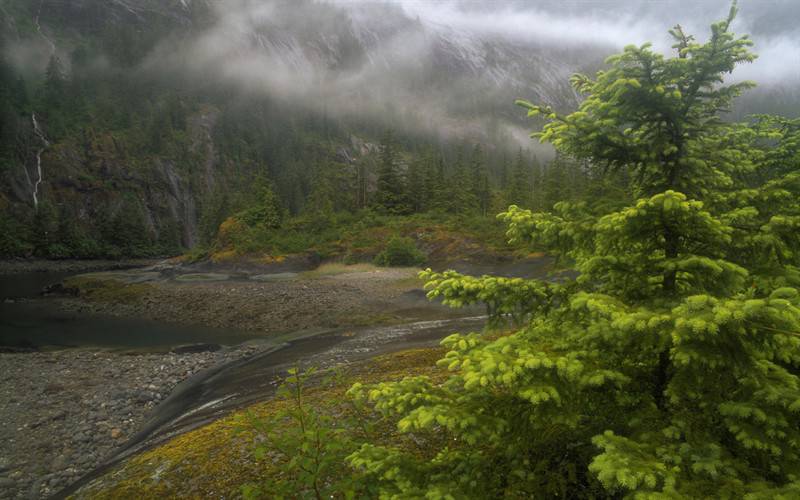 阿拉斯加高山下的风景壁纸