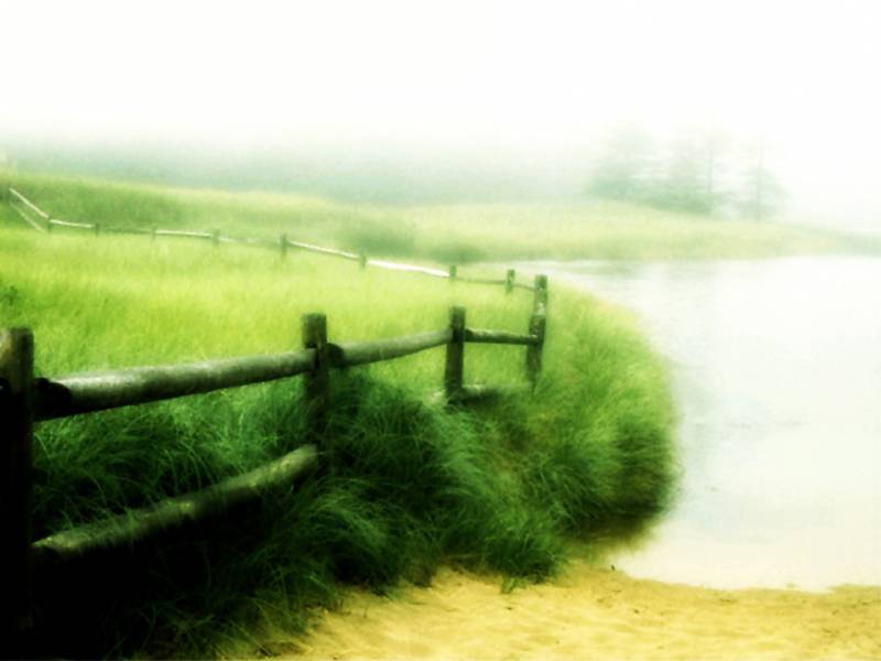 美丽春天生机勃勃组图