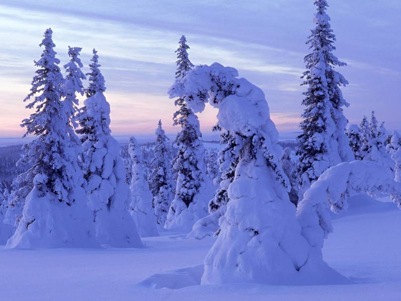 怡人自然雪景精美壁纸欣赏