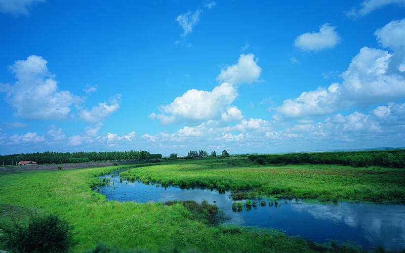 青葱绿色草原风光美景