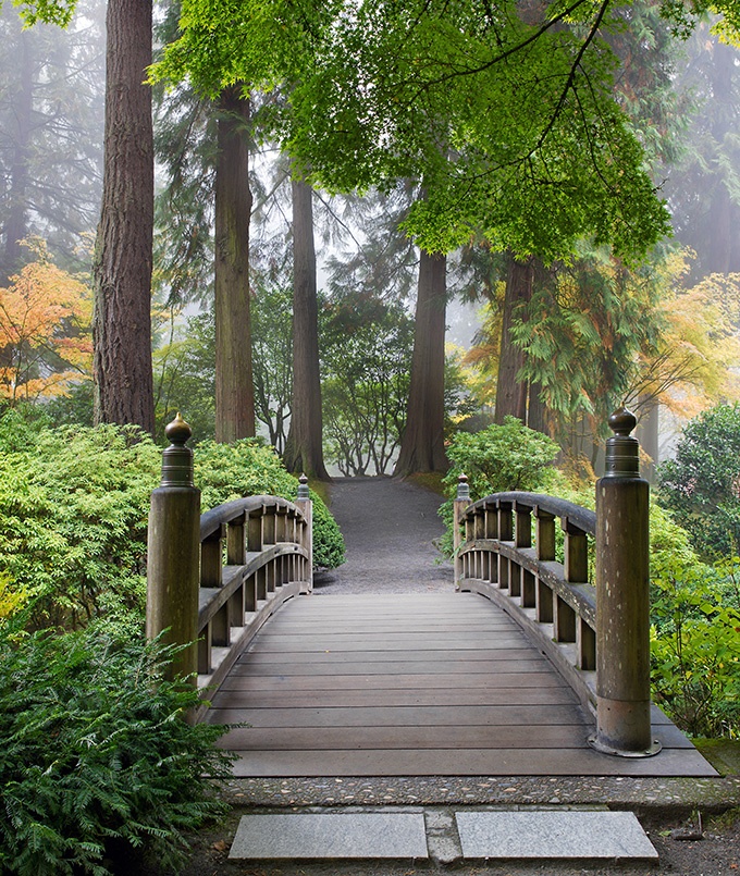 秋色宜人的公园拱桥图片