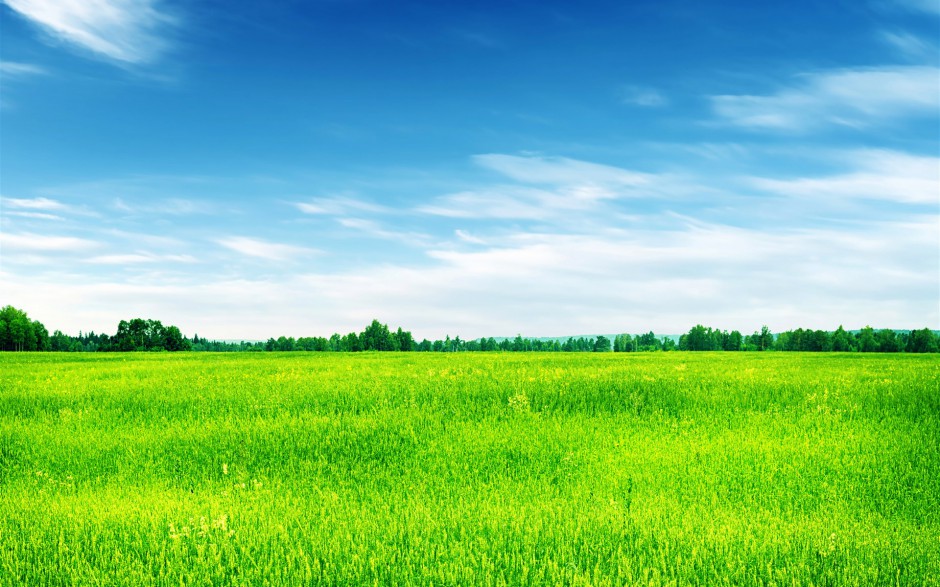 大草原绿色小清新优美风景桌面壁纸