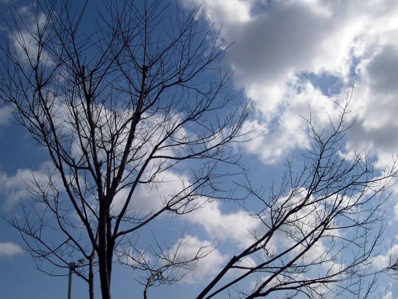 迷人的乡村田野高清风景壁纸