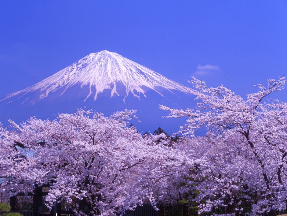 日本富士山春天美景清新怡人