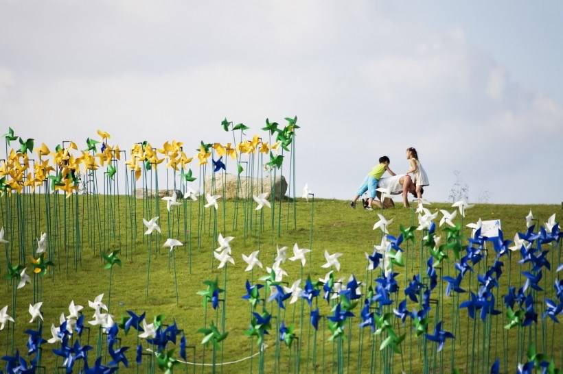 高清风车丛玩耍图片