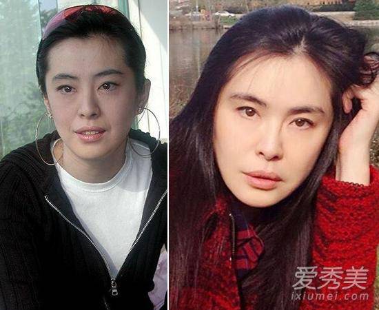 萧蔷王祖贤崔智友 当年女神整容后太吓人(4)