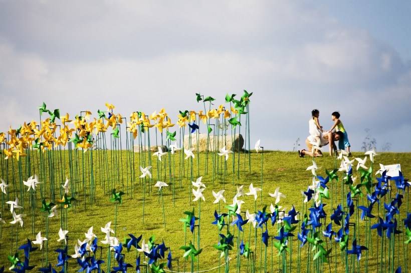 高清风车丛玩耍图片