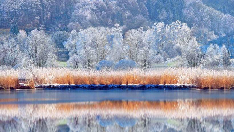 唯美清新素雅雪景风景图片壁纸