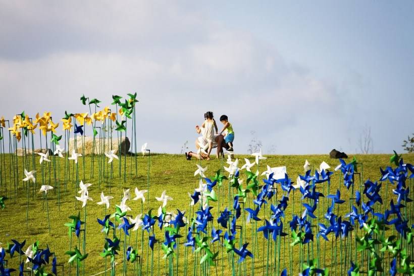 高清风车丛玩耍图片